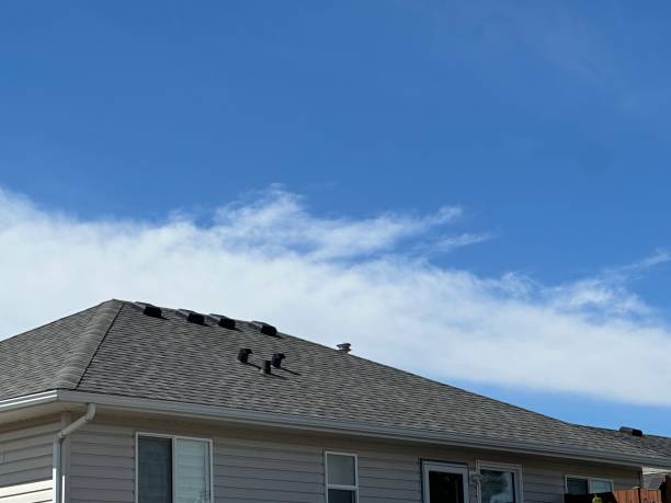 Best Sheet Metal Roofing  in Dover Beaches North, NJ